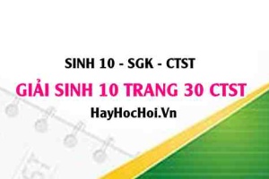 Giải Sinh 10 trang 30 Chân trời sáng tạo SGK